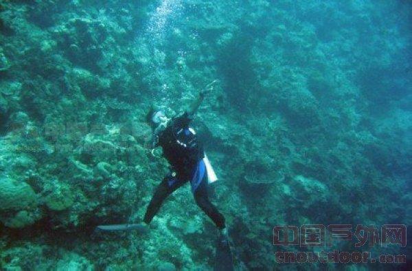 凭一首歌红了24年，52岁因病离世，9亿遗产至今不知去向