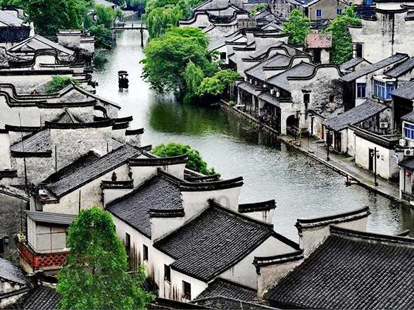 飞扬的独眼鸟